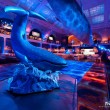 B-surfaces - Special Event, History Museum New York